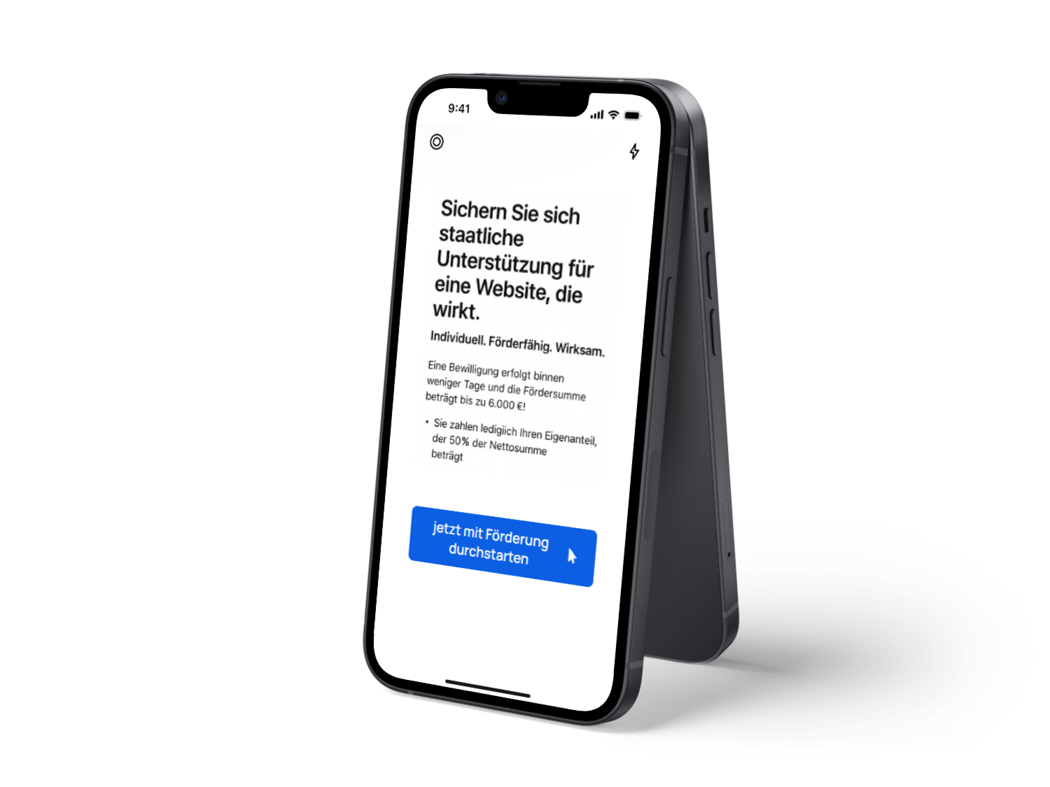 Smartphone zeigt Informationen zur staatlichen Unterstützung für Websites.